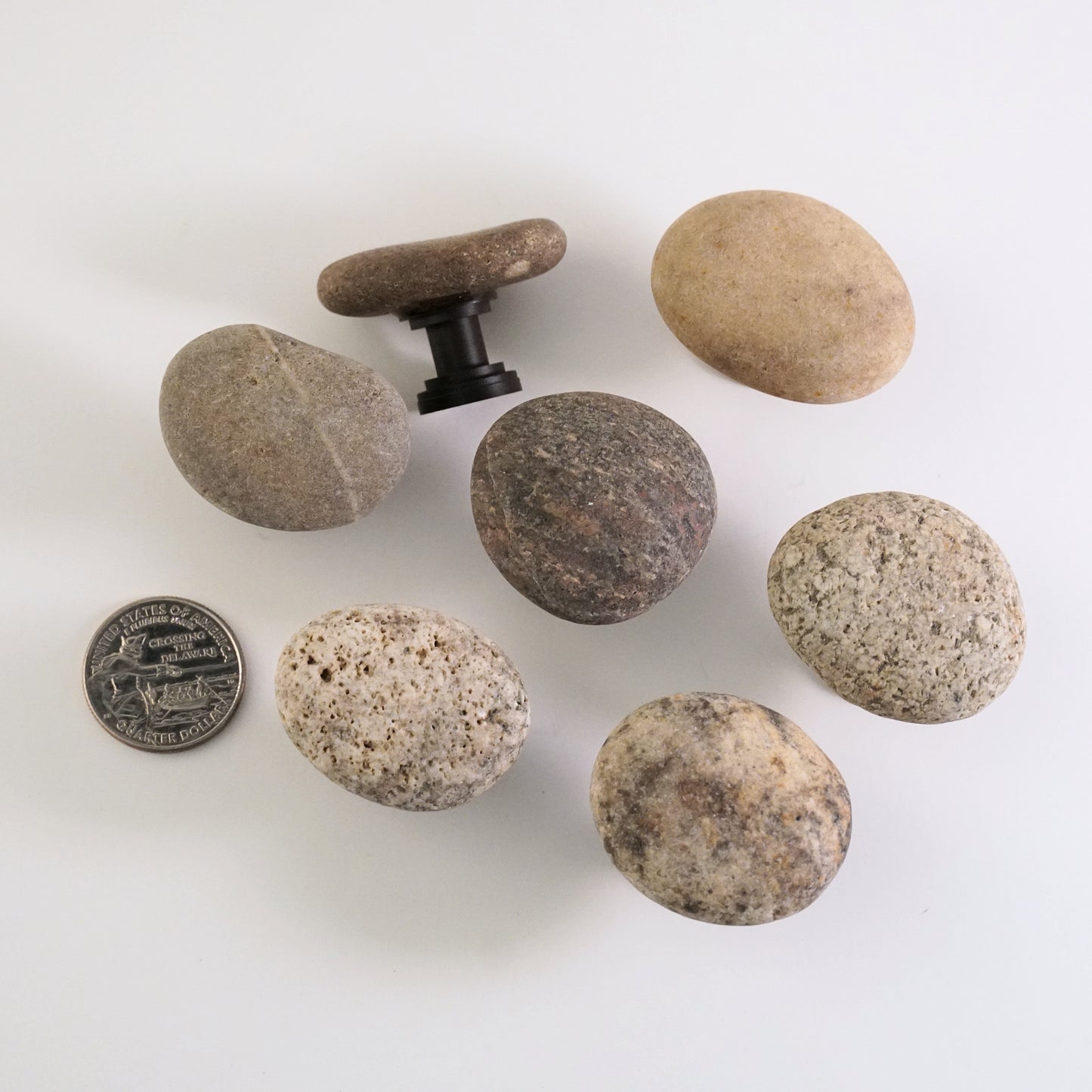 Beach Rock Cabinet Knobs - Set of 7 - Ready to Ship
