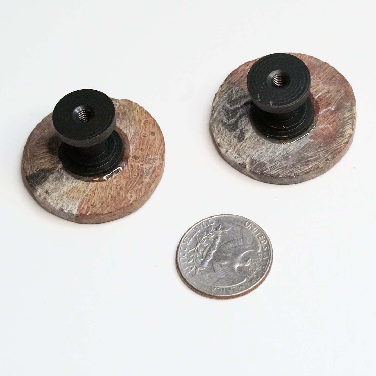 Fossil Cabinet Knobs - Set of 2 | Polished Ammonites