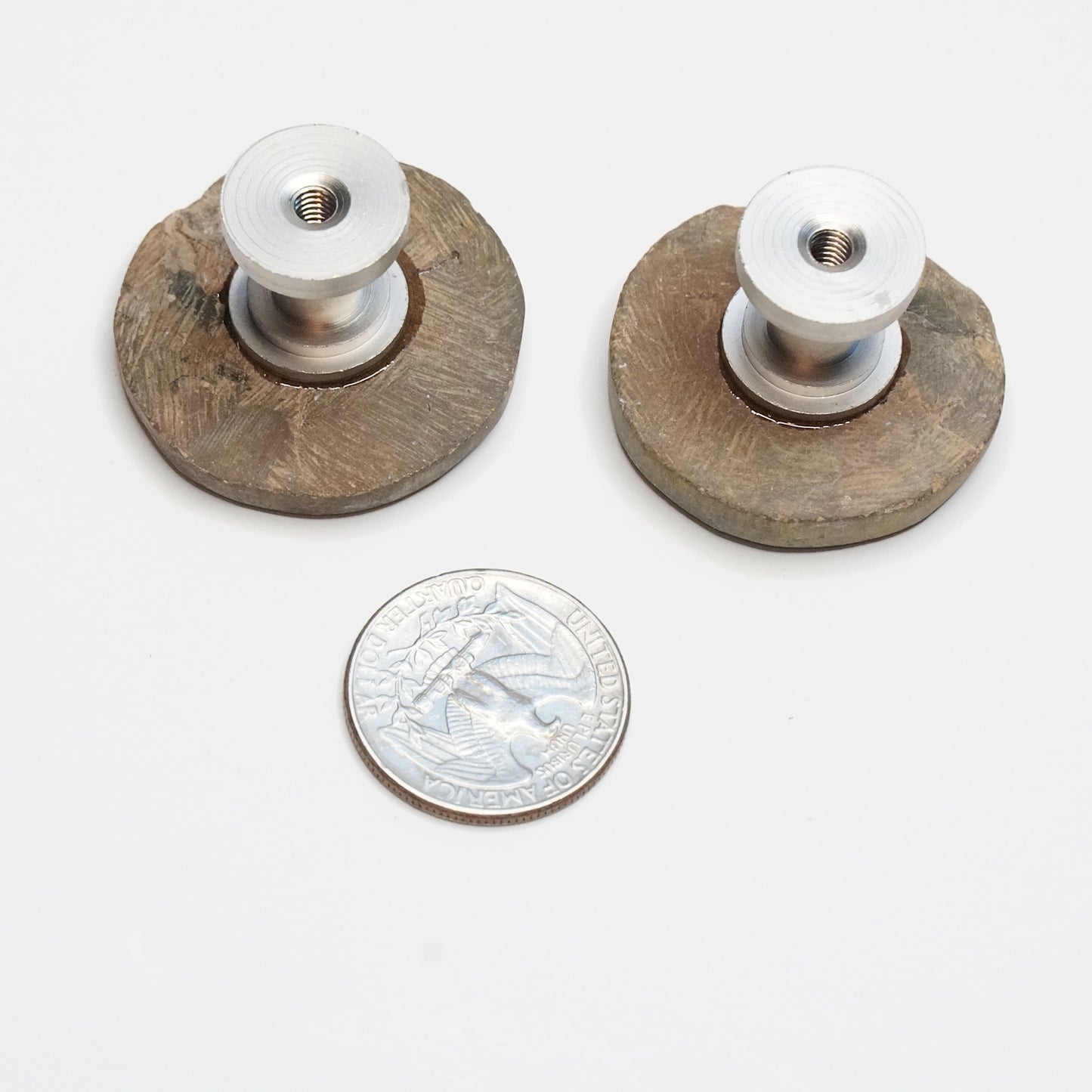 Fossil Cabinet Knobs - Set of 2 | Polished Ammonites