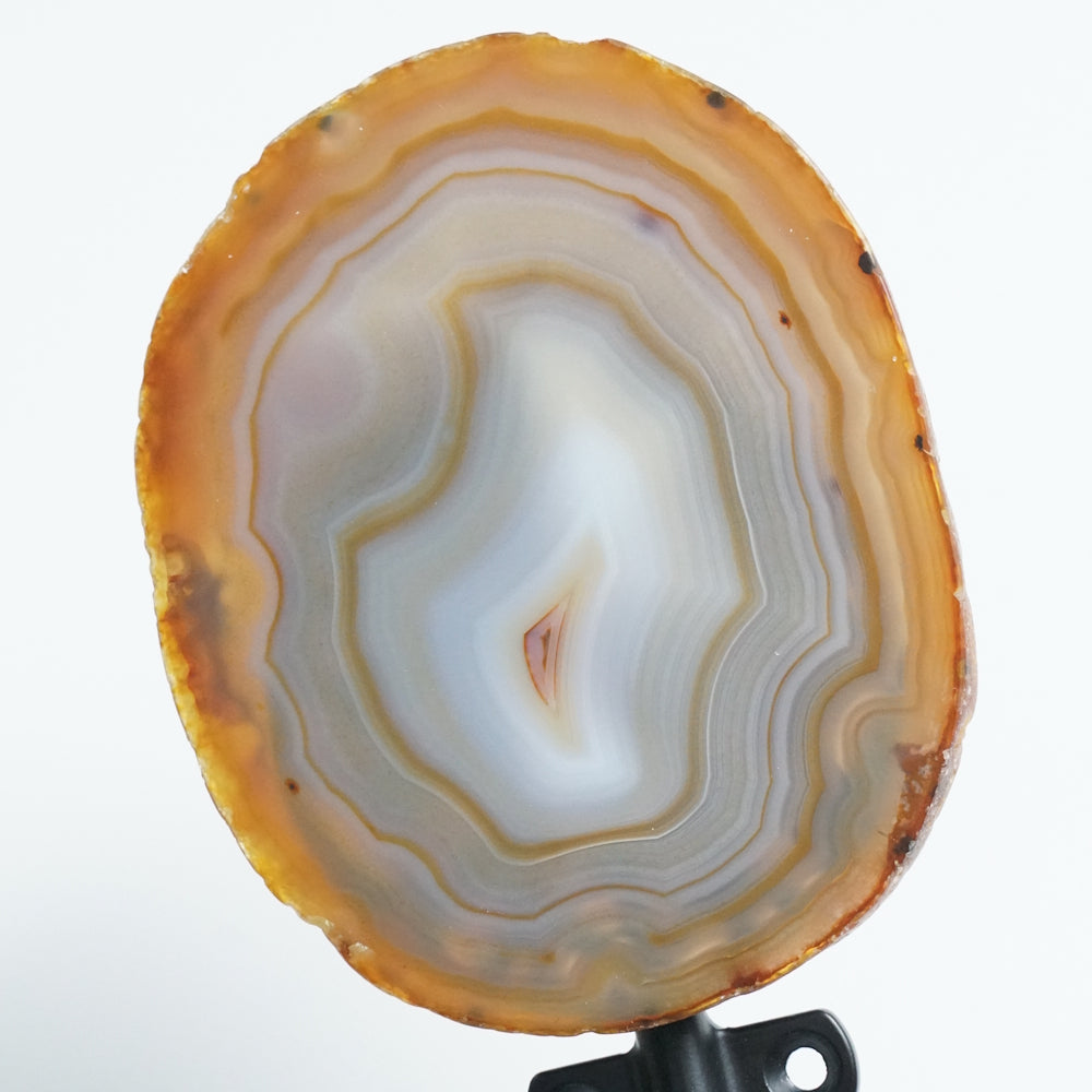 Brazilian Agate Wall Hook