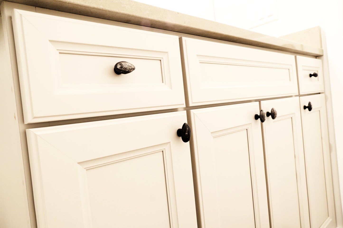 Fossil Orthoceras Cabinet Knobs - Set of 4