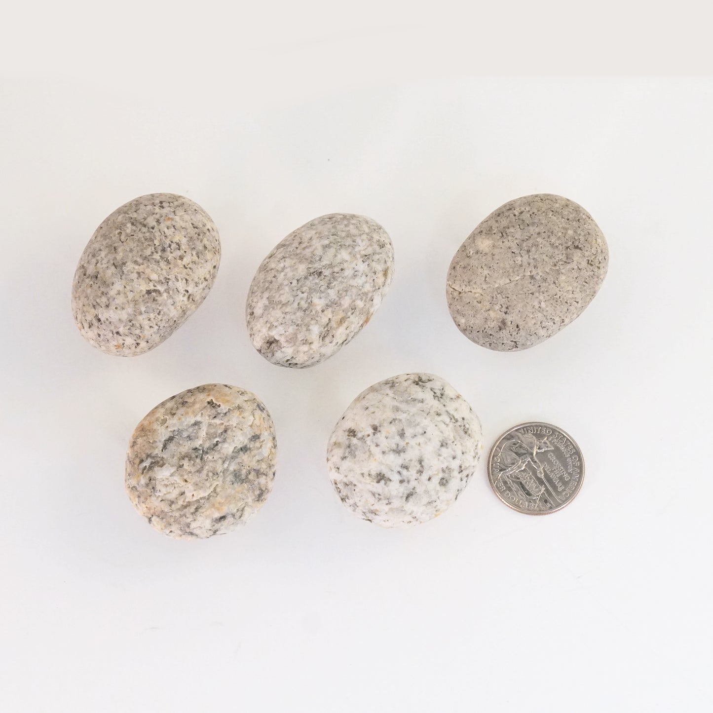 Set of 5 - Beach Rock Cabinet Knobs - Ready to Ship