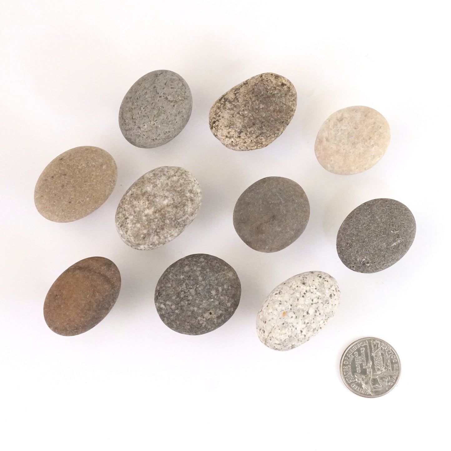 Set of 10 - Beach Rock Stone Pebble Cabinet Knobs