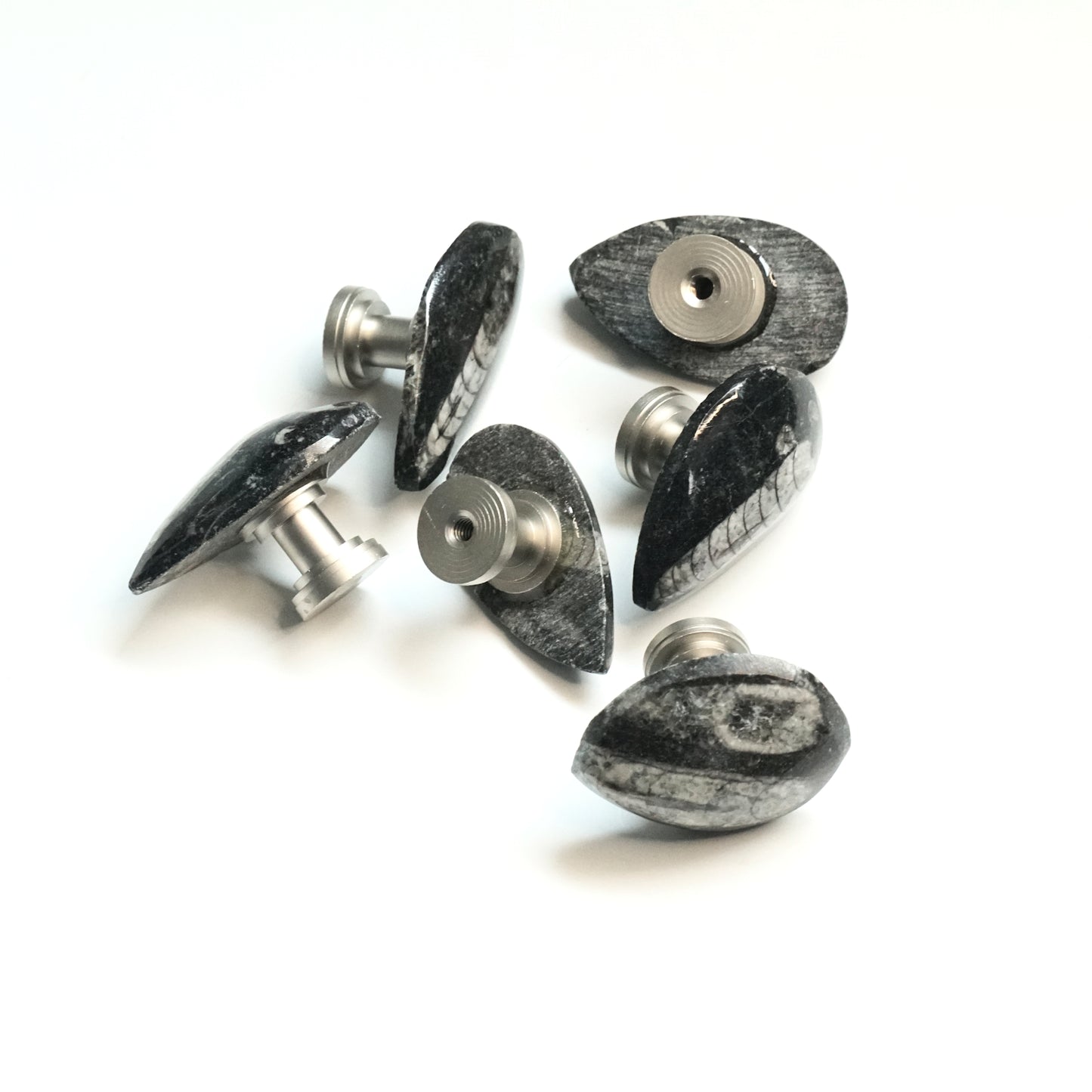 Fossil Cabinet Knobs - Set of 6 | Orthoceras