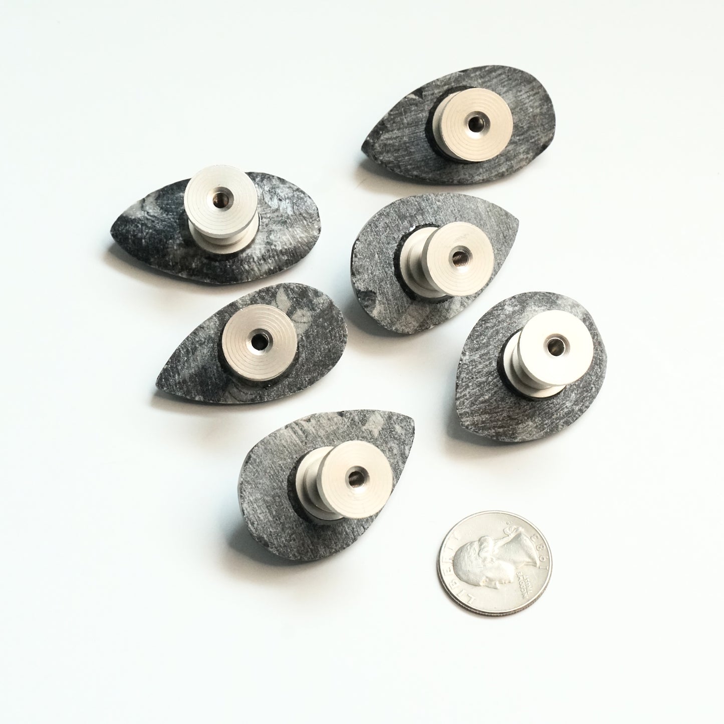 Fossil Cabinet Knobs - Set of 6 | Orthoceras