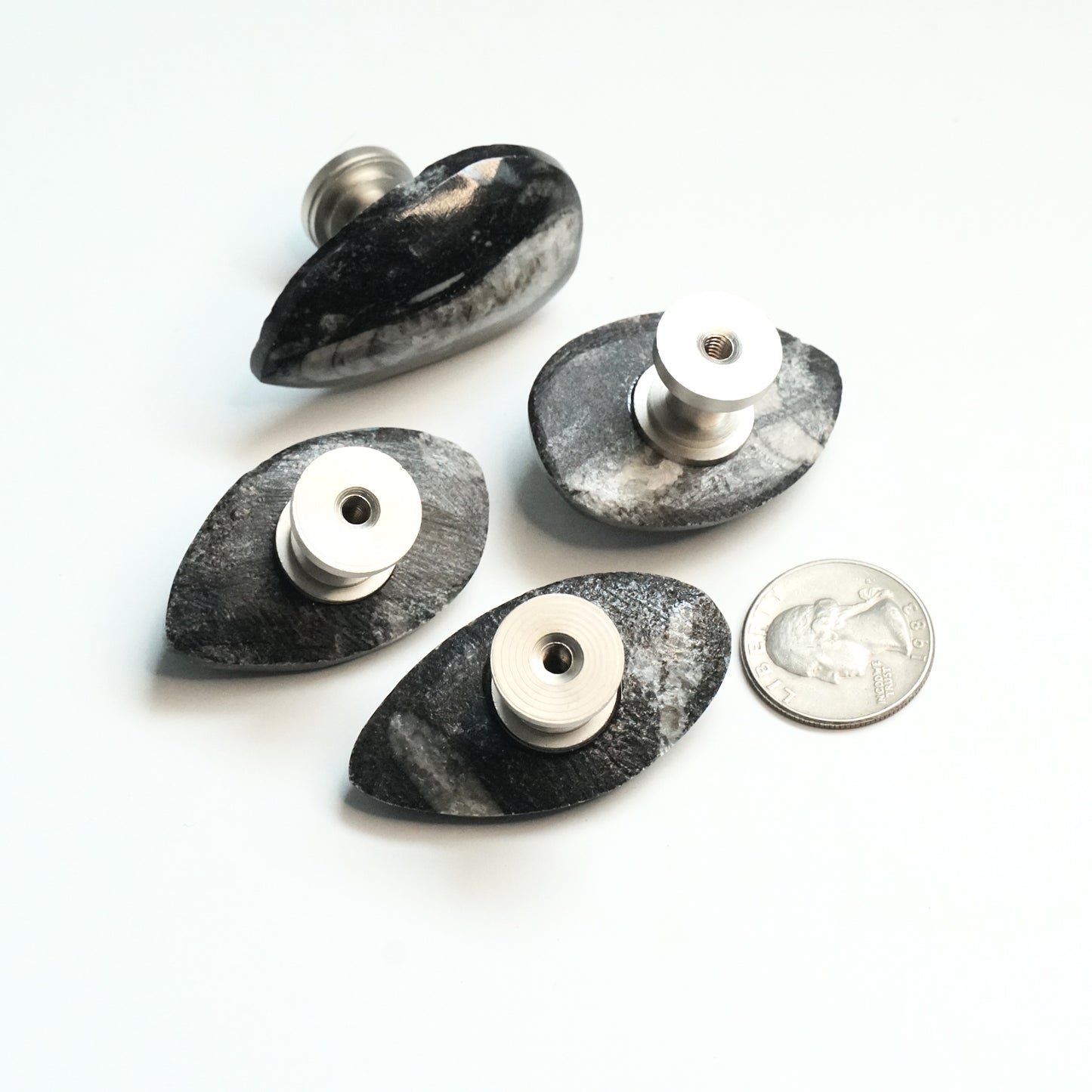Fossil Cabinet Knobs - Set of 4 | Orthoceras