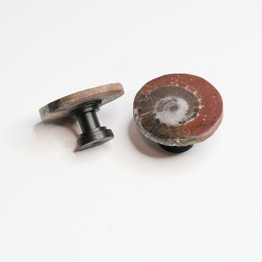 Fossil Cabinet Knobs - Set of 2 | Polished Ammonites