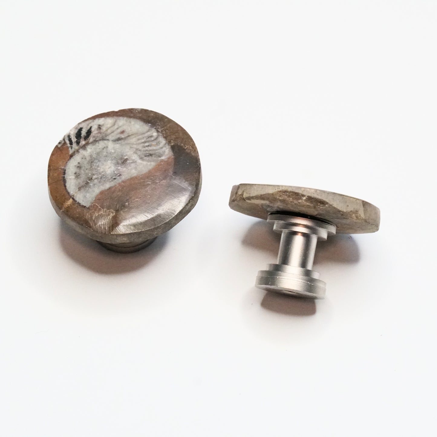 Fossil Cabinet Knobs - Set of 2 | Polished Ammonites