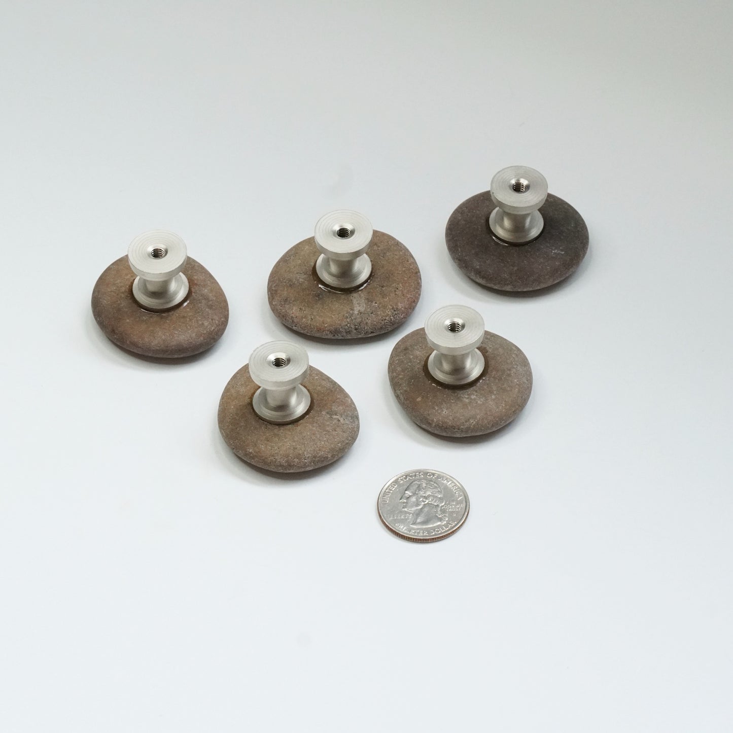 Coastal Cabinet Knobs - Set of 5 | Round Browns