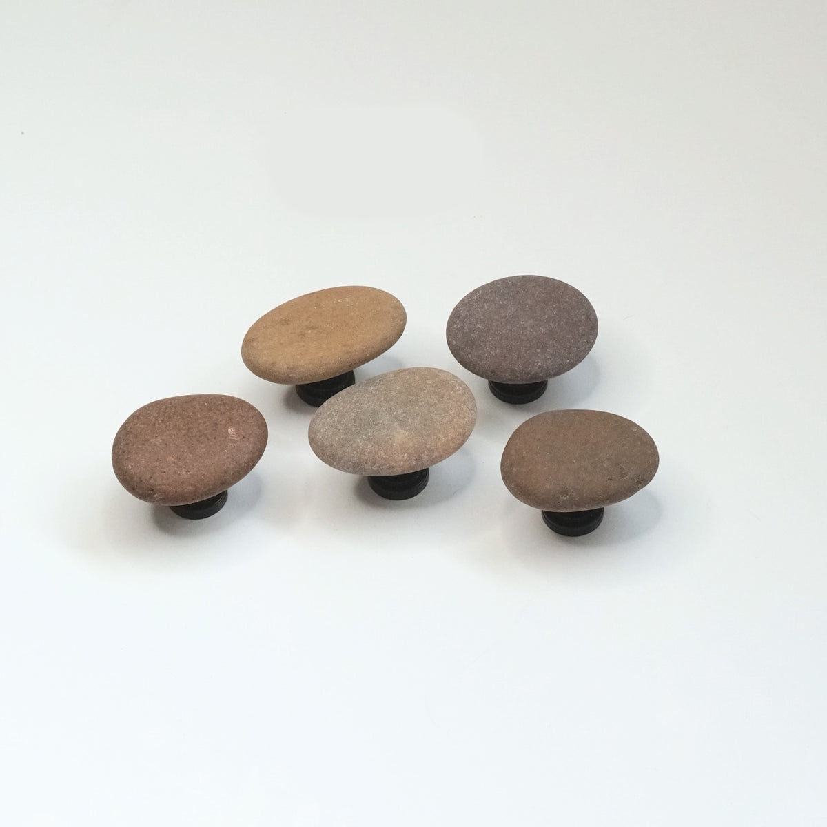 Coastal Cabinet Knobs - Set of 5 | Warm Tones