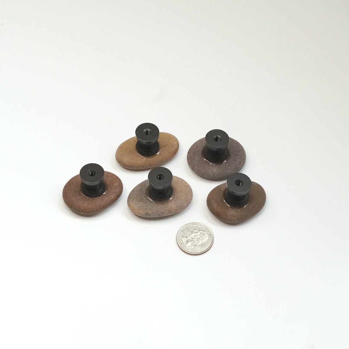 Coastal Cabinet Knobs - Set of 5 | Warm Tones